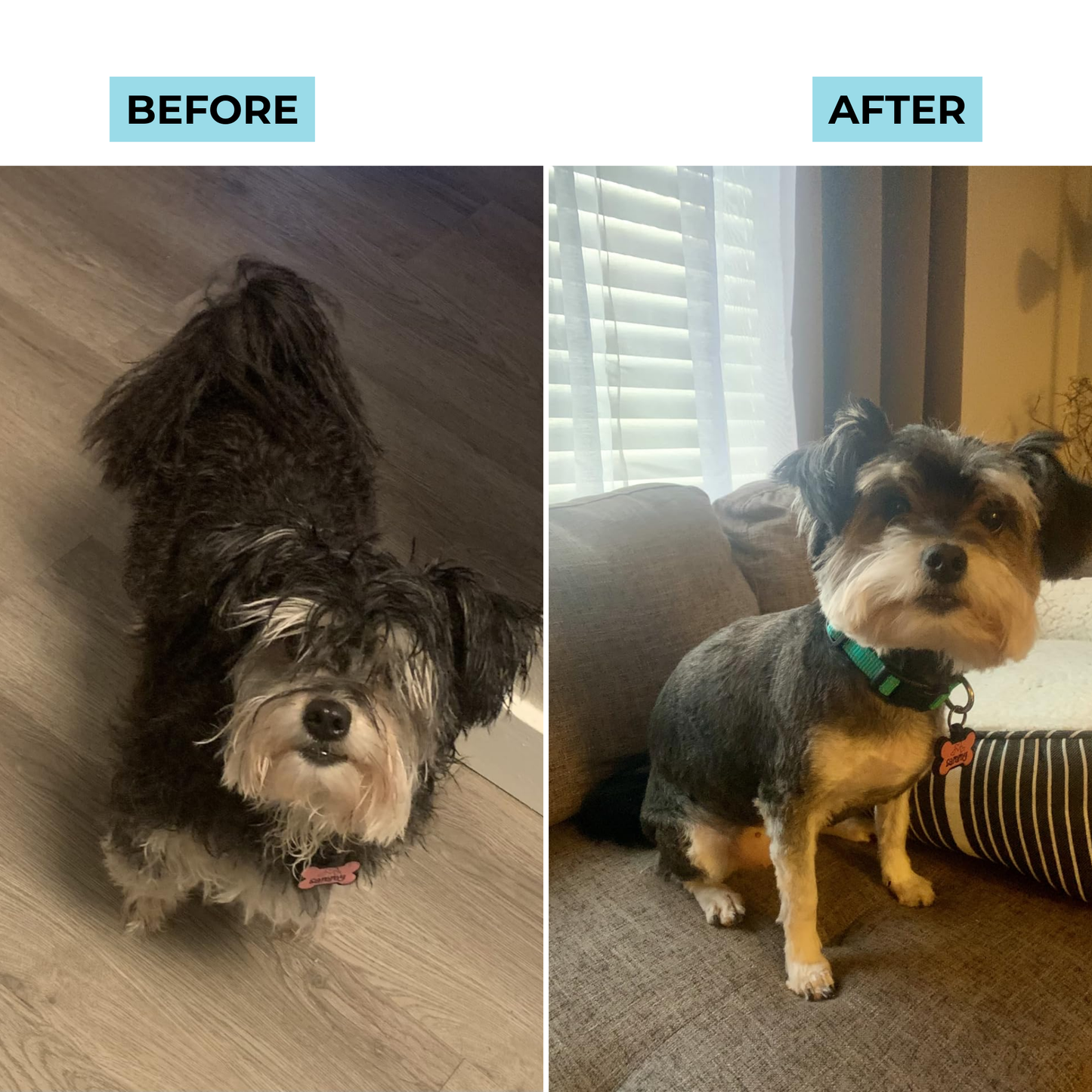 Silqy™ Dog Grooming Kit